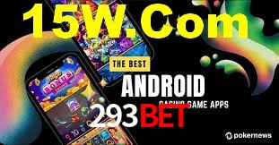 293bet App Interface
